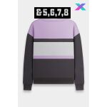SLX Striv Crewneck Thumbnail